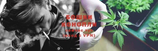 молекула духа Аркадак
