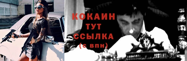 кокс Арсеньев