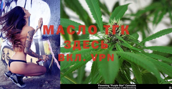 индика Армянск