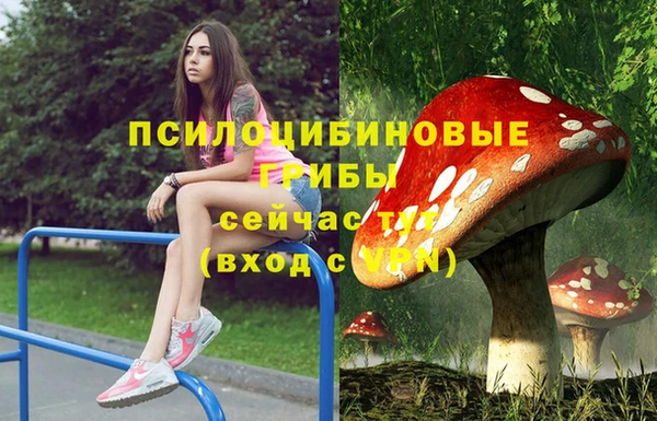 индика Армянск
