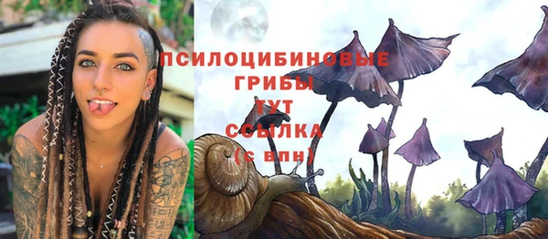 молекула духа Аркадак