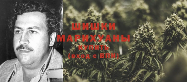 молекула духа Аркадак