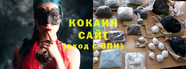 индика Армянск