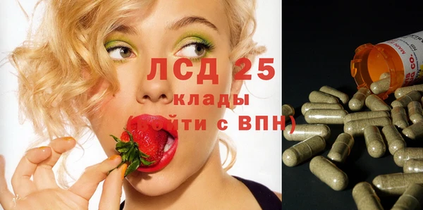 индика Армянск