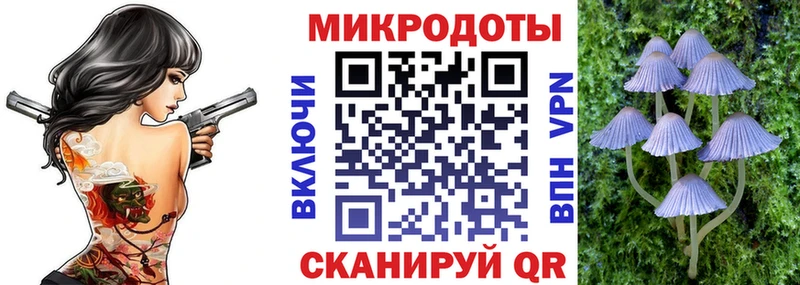 Псилоцибиновые грибы Psilocybe  это какой сайт  Оса  KRAKEN как зайти 